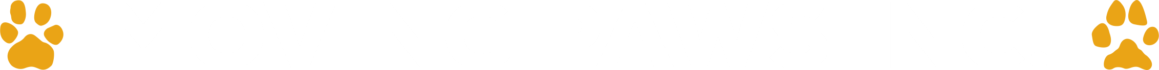 HORIZONTAL_BLACK